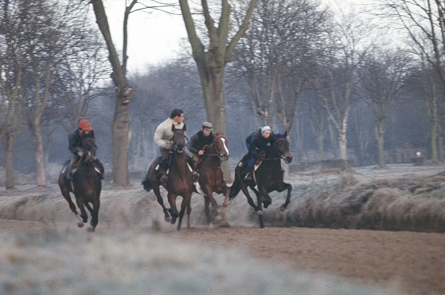 Chevaux à l'aube, piste d'entrainement de Maisons-Laffitte, 1973 — argentique